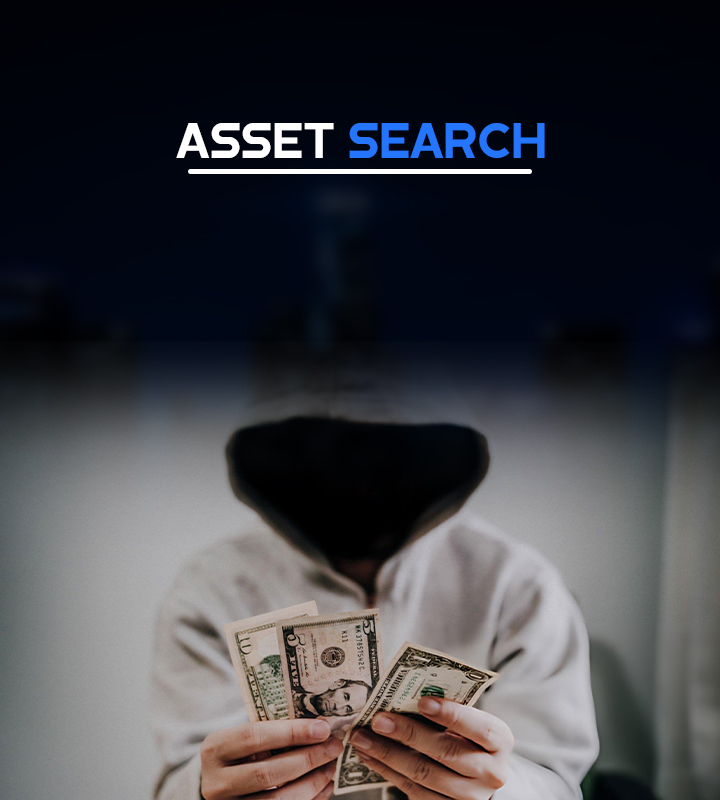 Asset Search
